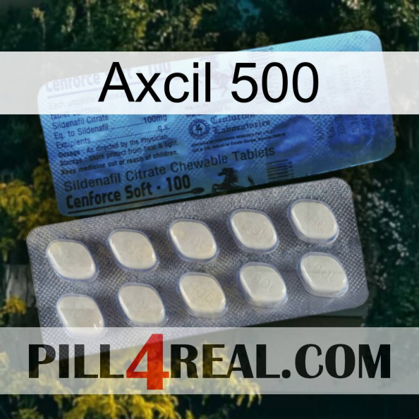 Axcil 500 34.jpg